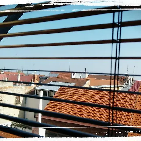 Optik Fric *